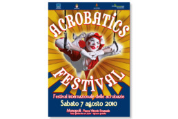 Acrobatic Festival 2010